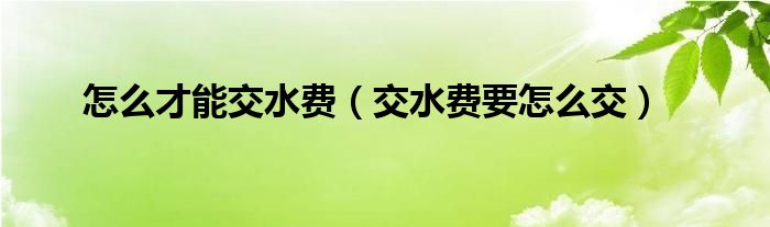 水费怎么交