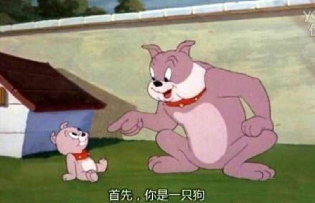 什么叫矢量图