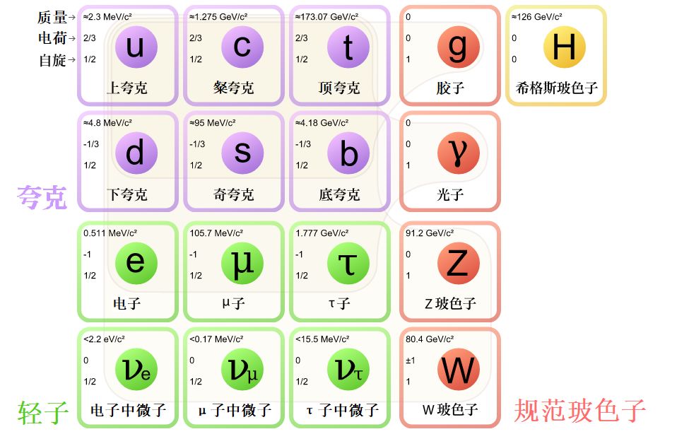 标准模型