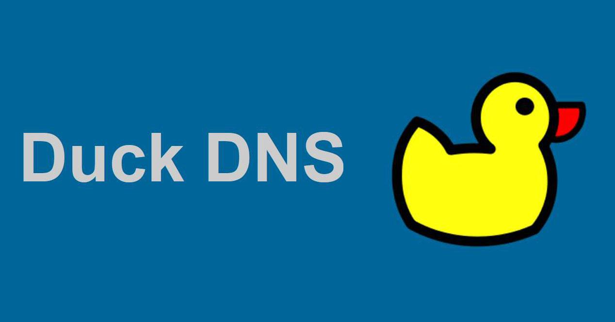duckdns