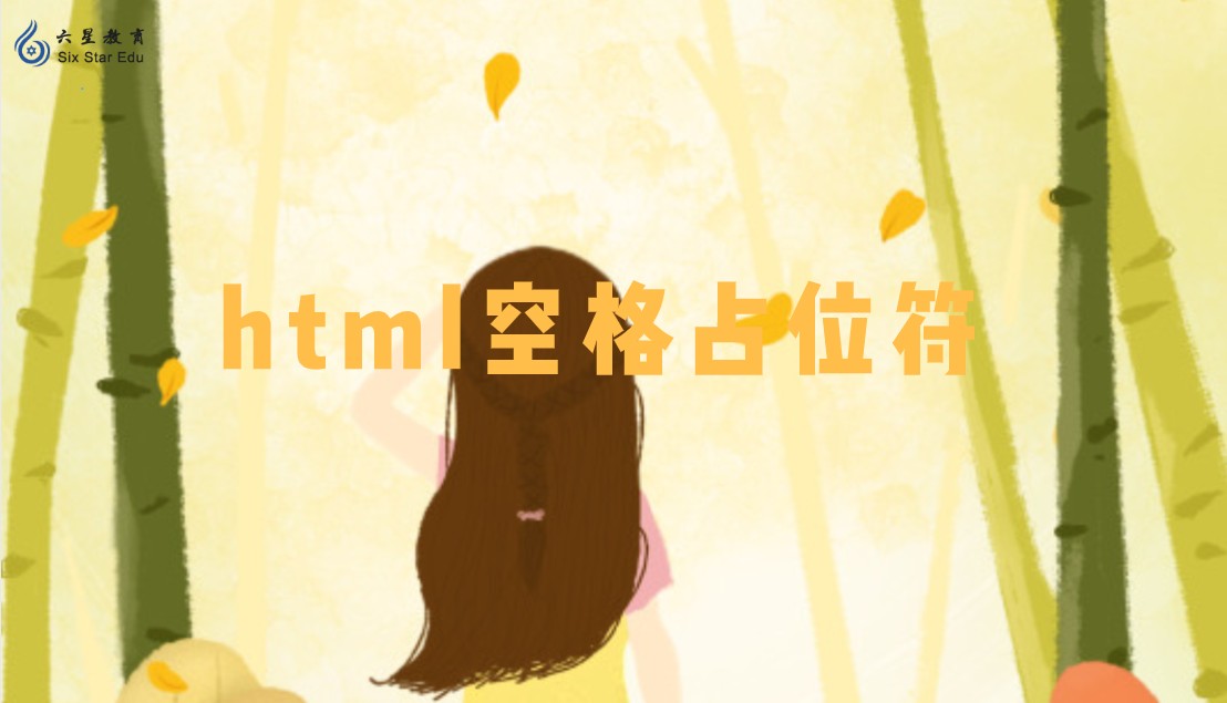 html空格符