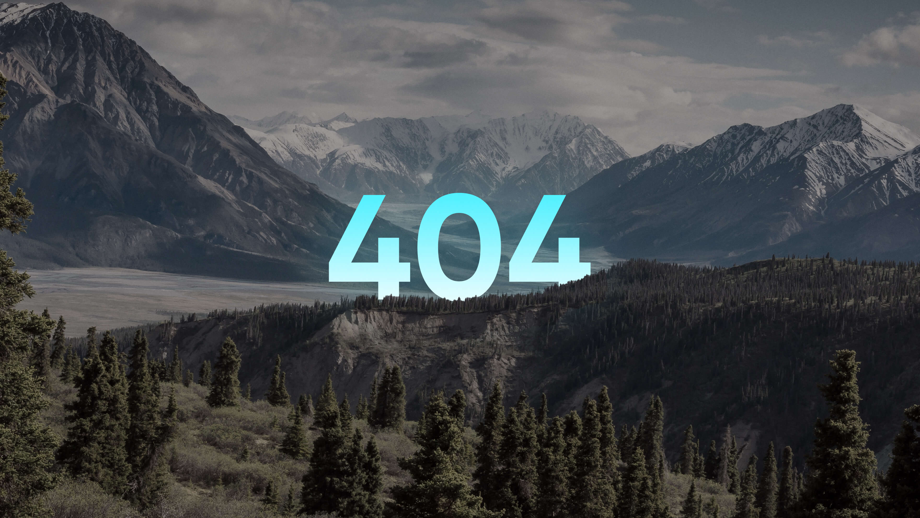 网站404