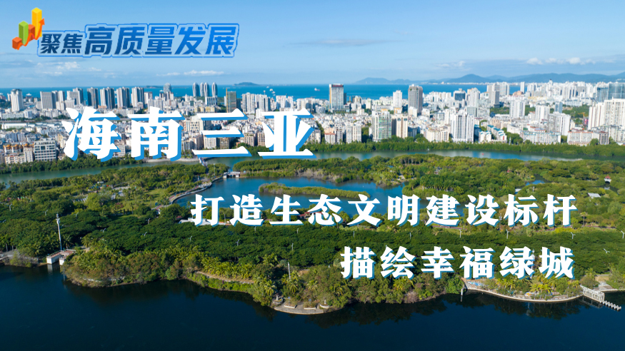 三亚网站建设