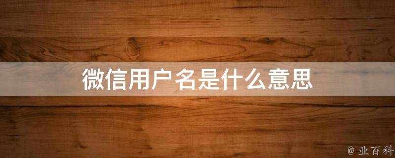 什么是用户名