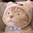 随即意思