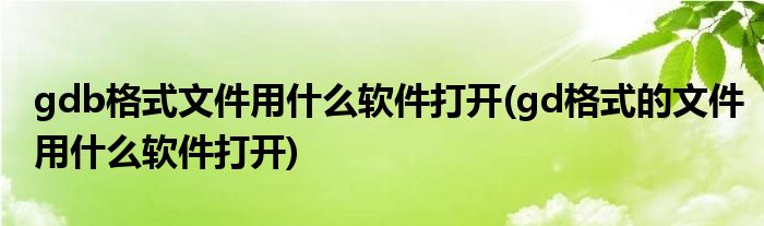 gdb格式