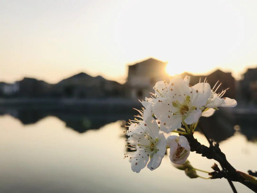 什么是景深