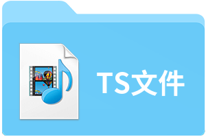 ts是什么格式