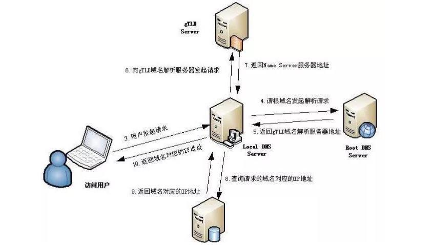 dns域名