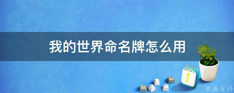 我的世界名字