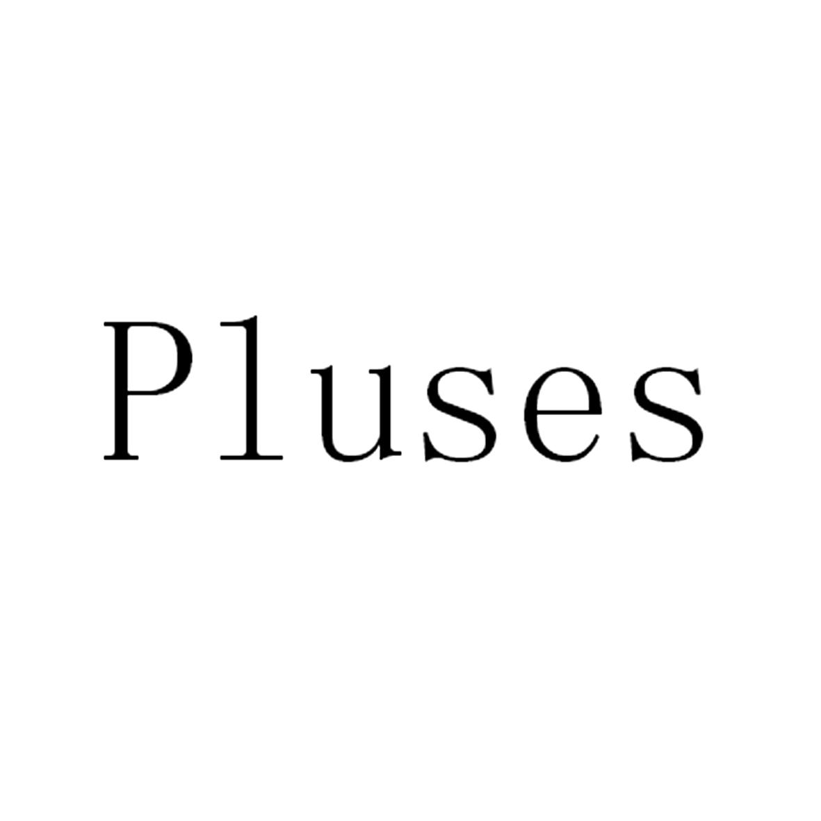 plus是啥意思