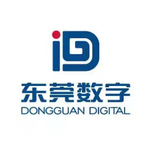 东莞网络公司