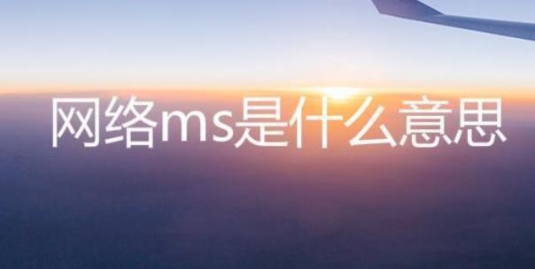 ms是啥意思