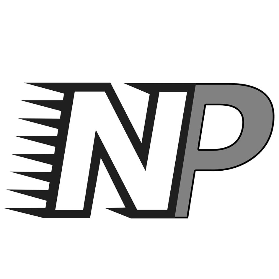np是什么意思啊
