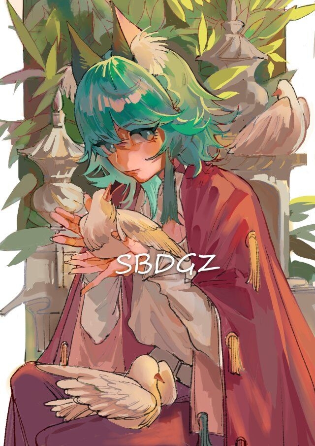 www插插插