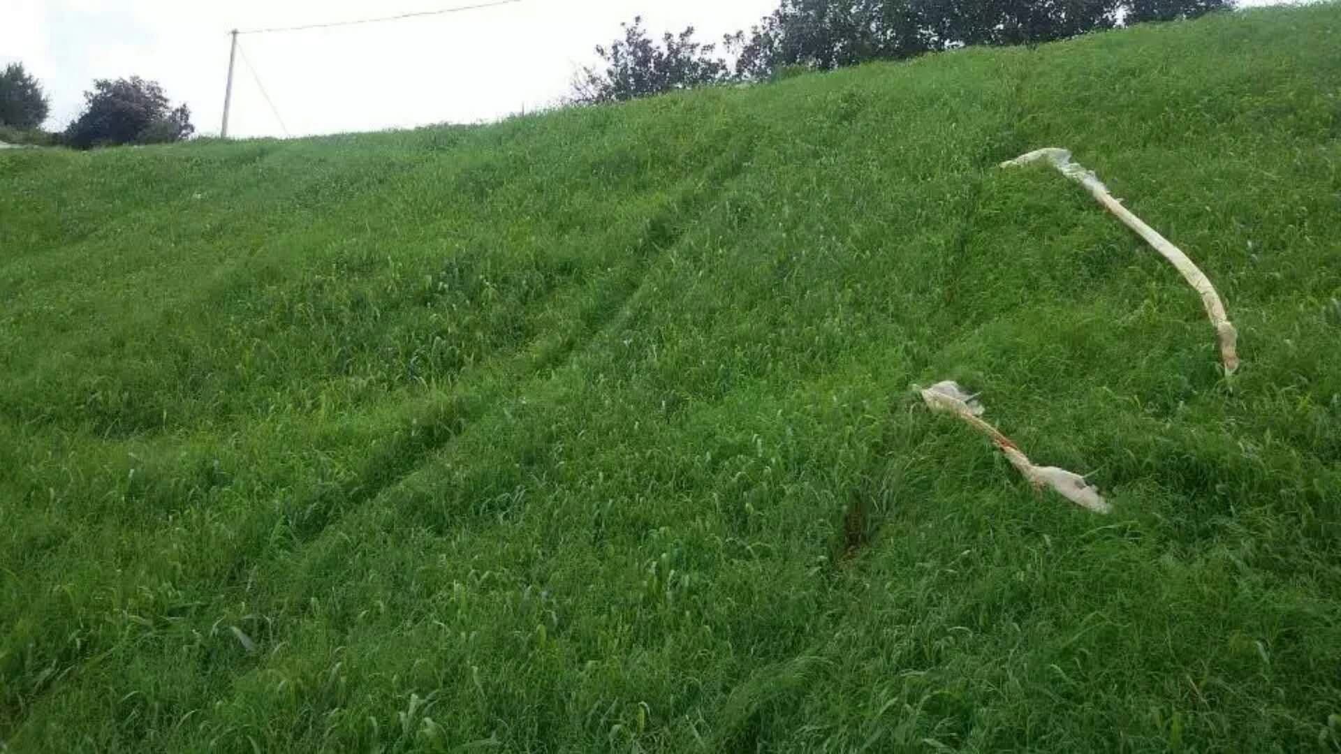 口播是什么意思