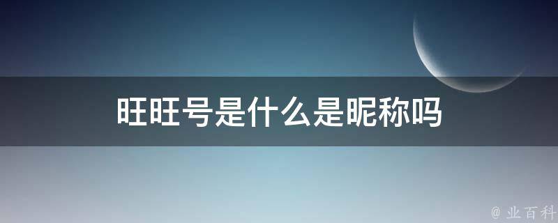 旺旺号是啥