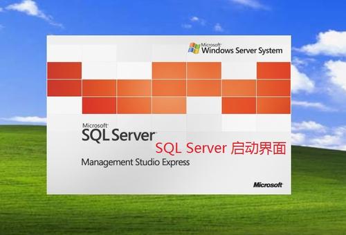 sql2005