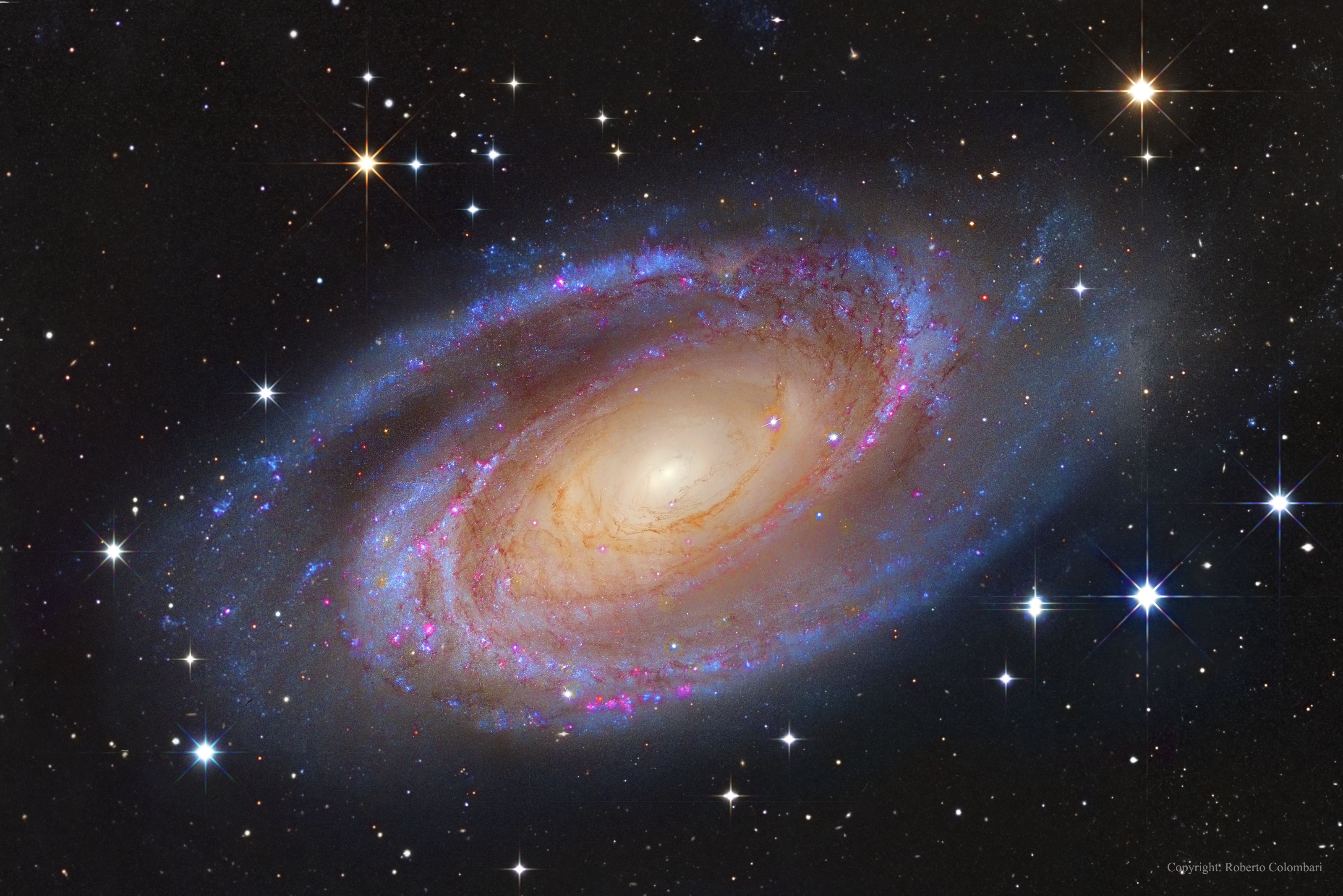 galaxias