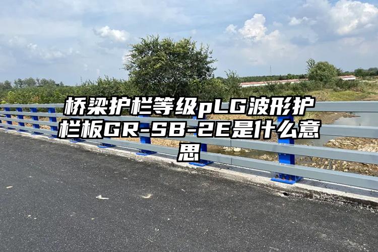 2e是什么意思