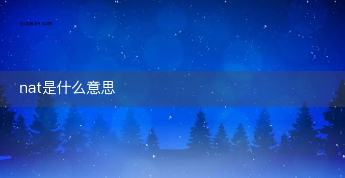 nat是什么