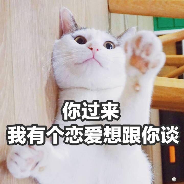 你不喜欢