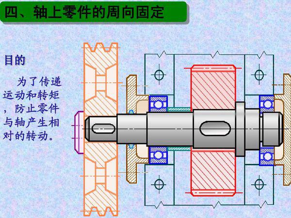 向是什么结构