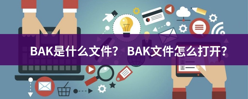 bak是什么文件