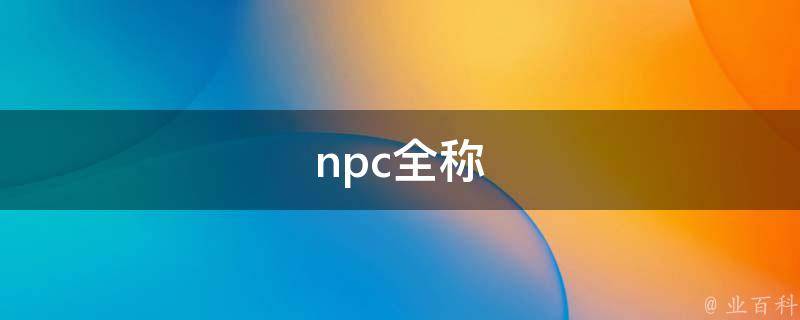 npc全称