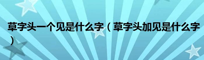 不加见是什么字
