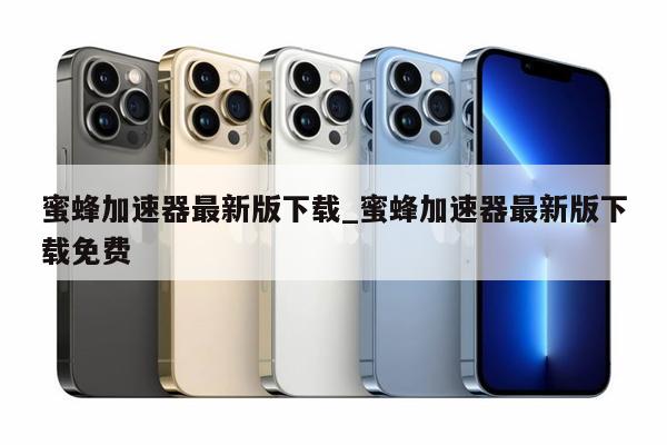 蜜蜂加速器下载