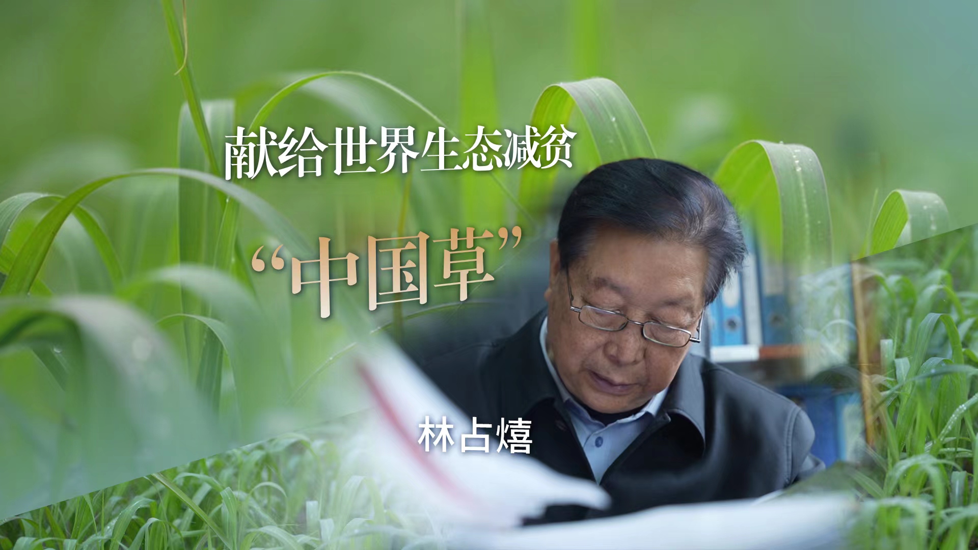 坦克世界去草插件
