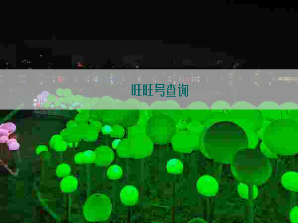 旺旺号