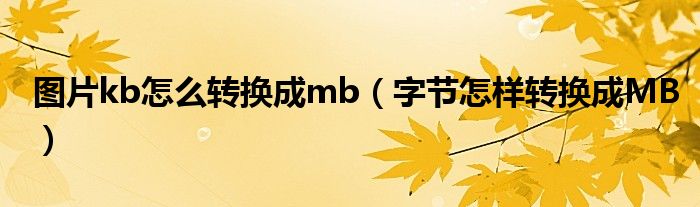 字节换算成mb