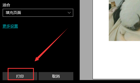 电脑怎么打印图片