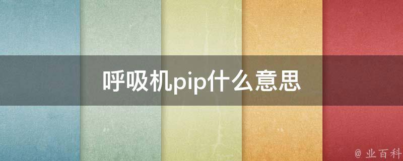 pip什么意思