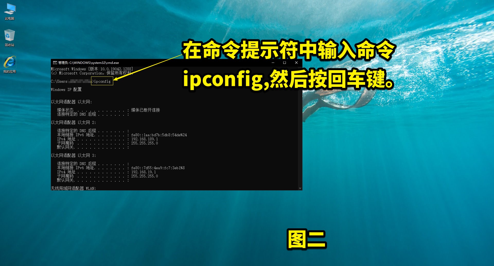 网址查询ip地址