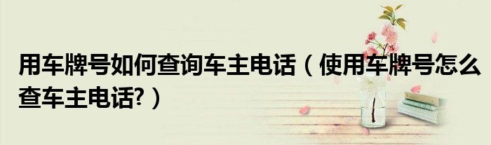 车牌号查电话