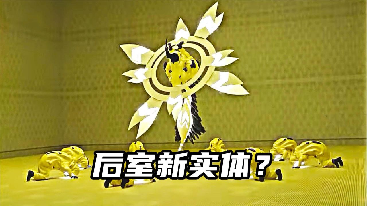 实体是什么