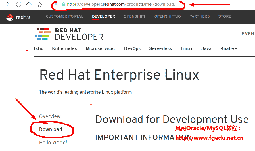 redhat下载