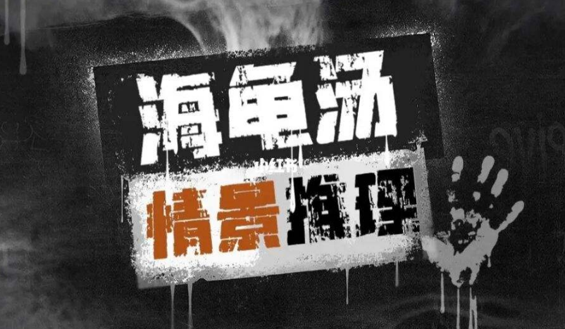 海龟汤什么意思