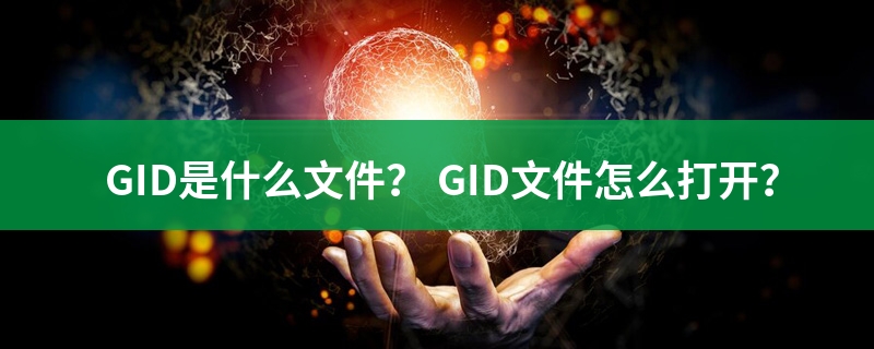 gid是什么意思