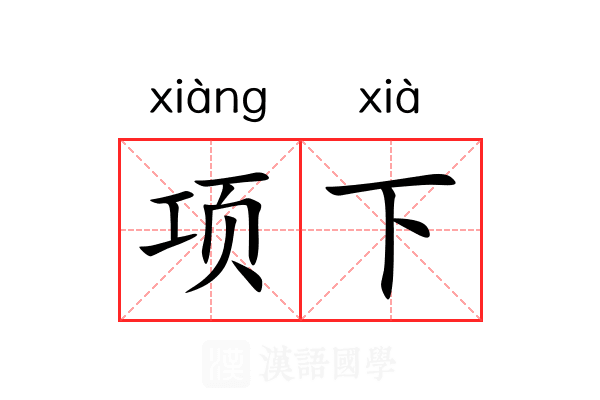 项下是什么意思