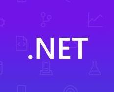 net什么意思