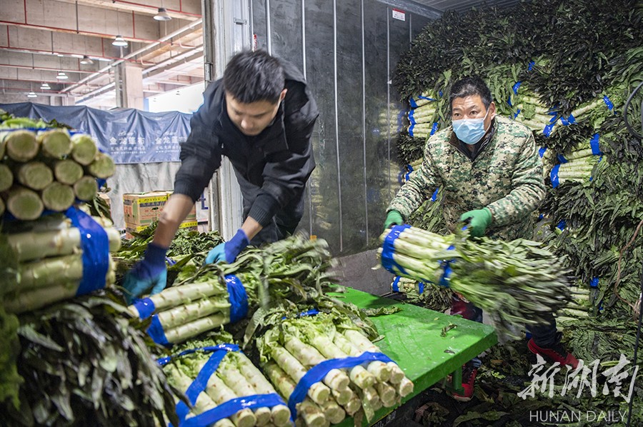 在线网页代理