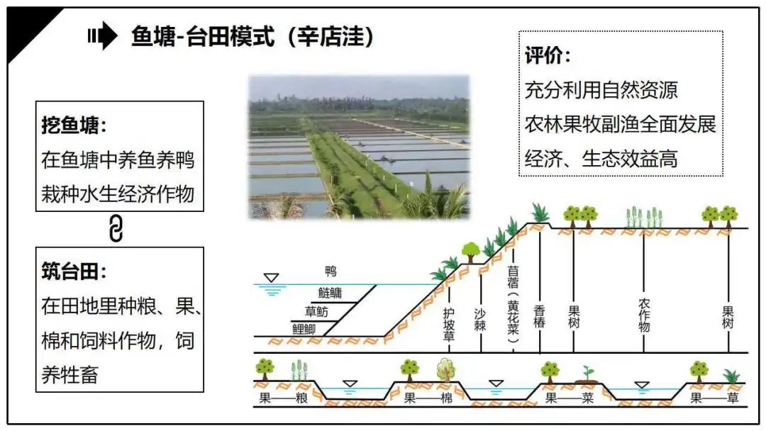 田是什么结构