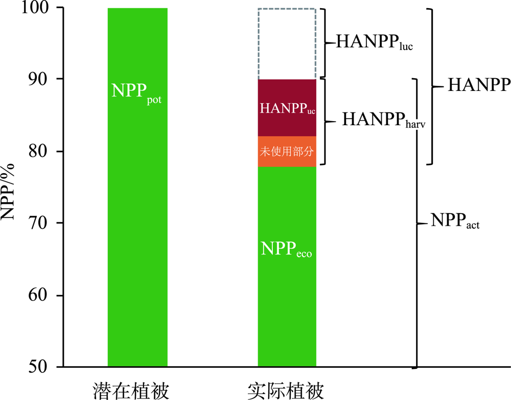 npp是什么意思
