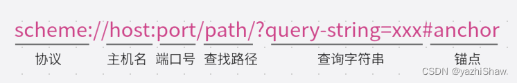 什么是url