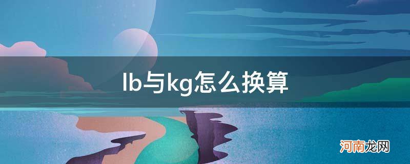 lb换算