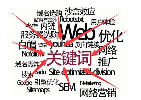网站词库
